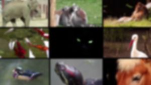 MULTIVITAMINS PROBIOTICS AND PREBIOTICS "PETLAB JAPAN TECHNOLOGY" - 350ML (DOG CAT CHICKEN PIG FISH ETC.)