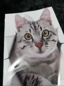 BISA COD Stiker Kucing Gemoy 3D & Aksesoris Hiasan Dinding Rumah