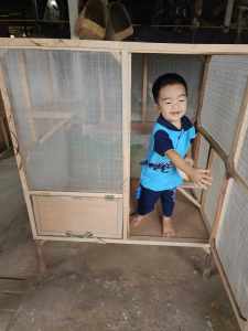 กรงแมว งานDiy ล้อมมุ้งกันยุง แบบชั้นเดียว 2ประตู  ความยาว100 กว้าง100 สูง115ซม.