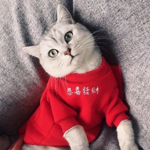 VOA | Winter Warm Anti-Shedding Pet Clothing for Cats and Dogs