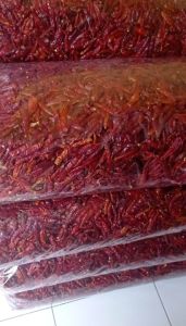 Cabe Merah Rawit Teja kering 1 KG import dijamin pedas tanpa tangkai ADA HARGA ADA BARANG KWALITAS TERJAMIN