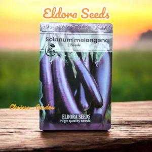 (ELDORA SEEDS) 200 BUTIR BIJI | BENIH TERONG UNGU PANJANG | SOLANUM MELONGENA