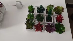 Mini Artificial Succulent Potted Simulation Succulent Plant Table Decor Fake Succulent with Pot