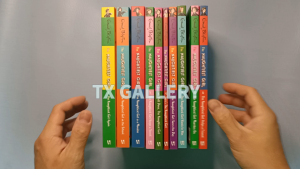 Enid Blyton The Naughtiest Girl (10 Books) Original
