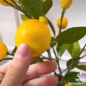 Cành chanh 7 quả cành chanh Mỹ vàng dài 1m trang trí nhà cửa văn phòng cửa hàng làm dạo cụ chụp ảnh