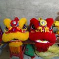 Number 5 Foam Lion Dance Costume Eye Blinking Lightweight Stage Performance Premium Wool Buddha Suit Versatile Crafts. 