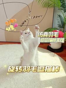 7o | Interactive Feather Teaser Toy Cat Stick