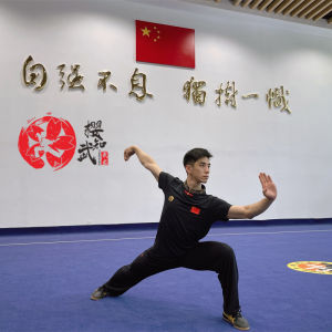 Quick Dry Karate T-Shirt Half Sleeve Stand Collar Martial Arts Top for Women Breathable Lightweight Elastic Sportswear