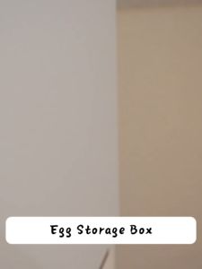 Storix Plastic Material 2/3 Layer Egg Storage Egg Dispenser Tray Refrigerator Side Door 30/32 Eggs Holder Container