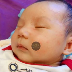 Sữa Tắm - Dầu Gội Thảo Dược Trầu Không Tràm Trà 2 IN 1 Dành Cho Trẻ Em CQGR Motree (250ml) Chính Hãng Ngăn Ngừa Hăm Tã Sạch Rôm Sẩy Mềm Mịn Da