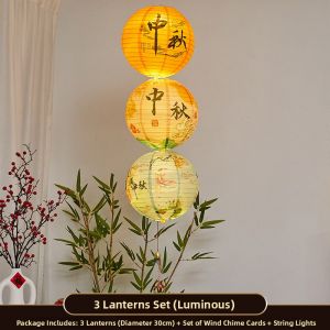 CAIKOU | Traditional Style Lantern Decorative Hanging Light