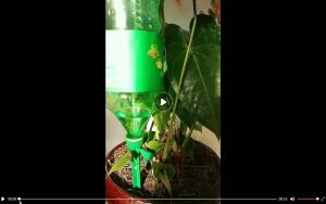 ZEO Green Plant Waterer Self Watering Spikes System - Vacation Automatic Irrigation Watering