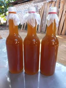 MADU HUTAN ALAS | MADU HUTAN | TANPA CAMPURAN DAN OLAHAN 100% DARI PETANI MADU