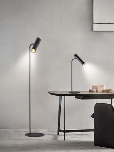 LSHE | Rotatable Minimalist Metal Finish Floor Lamp