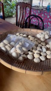 เล่นลูกแป้งสาโท บ่าวไทบ้าน สูตรอีสานดั้งเดิม หวาน อร่อย 10 เม็ด 99.-