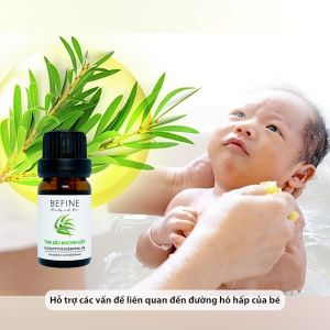 Tinh dầu khuynh diệp Befine - Tinh dầu bạch đàn nguyên chất cho bé (có kiểm nghiệm GCMS)