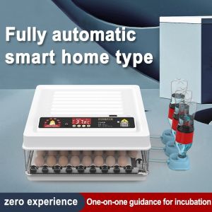 JF High-Quality Fully Automatic Egg Incubator with Intelligent Digital Temperature Control for Poultry