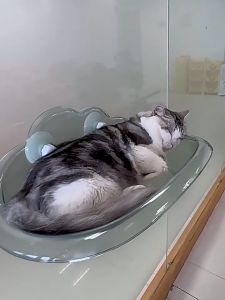 MONZA เปลแมว เปลแมวติดกระจก ที่นอนนอนแมวติดผนัง No.Y2151