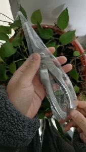 Stainless Steel Garden Pruning Shears Multifunction Pruning Tools Home Potted Branches Pruner