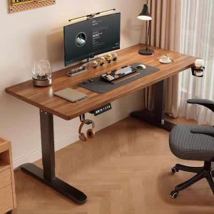 SUNNY BIERE STORE 24/48 inches Electric Desk 1.2M Computer Table Adjustable Height Electric Standing Desk Automatic Smart Lifting Ergonomic Office/Study/Gaming Table Desk