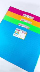 ESCO Map File / Document Keeper / Display Book / Clear Holder F4 40 Pocket ES-840