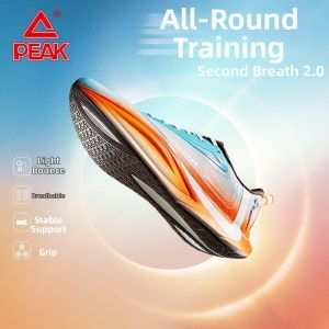 PEAK | Carbon Plate Shock Absorption Competition Training Running Shoes