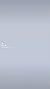 ชุดเจ้าหญิง เสื้อผ้าสัตว์เลี้ยง ชุดเจ้าหญิงแมว ชุดคุณหนู ชุดหรูหรา อุปกรณ์สัตว์เลี้ยง เสื้อหมาแมว เสื้อผ้าสัตว์เลี้ยง เสื้อหมาแมว ชุดเจ้าหญิงโลลิต