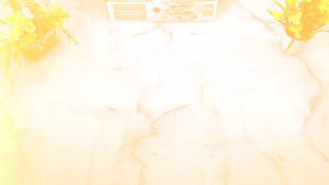 VICENZA 6 pasang cangkir set + tutup motif camelia / coffee tea set cup and saucer porcelain YA-85