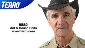 (4 Baits) Terro Ant & Roach Baits