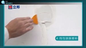 (SG Seller) ★ Nippon Paint DIY Wall Repair Paste ★ Plaster Patch Ceiling Hole Gap Crack Damage Mending Filler Cream Coating Agent Sealer Sealing Seaming Filling Patching