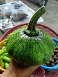ฟักทองอ่อนเขียวเล็ก...2กิโลขึ้นไป