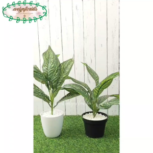 Pohon Hias Artificial Daun Keladi Hijau X9 Pot Dasar Hitam & Pot Melamine Putih Dekorasi Meja Cafe Meja Ruang Tamu