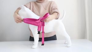 Soft No Pull Small Medium Dog Harness Nylon Pitbull Dog Puppy Harnesses Padded Pet Vest Adjustable for Small Dog Chihuahua Pug