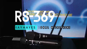 RAYHAYES RS-369 Professional Wireless Microphone UHF Metal Microphone 200M Remote Receptio System