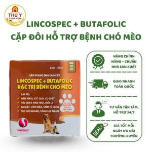 LINCOSPEC + BUTAFOLIC – HỖ TRỢ GIẢM HO SỐT TIÊU CHẢY PHỤC HỒI THỂ TRẠNG CHO CHÓ MÈO 2 lọ 10ml