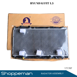 17178 17178T HONDA FIT 1.5 RADIATOR ASSEMBLY M/T 350x733.50x16mm PA16 1ROW