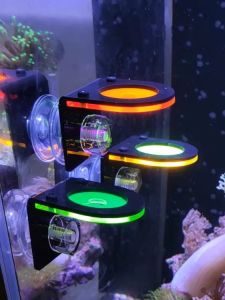 Fluorescent Coral Stand Fluorescent Coral Breeding Bracket Luminous Strong Magnetic Branch SPS Hard Bone Cartilage Button Limb Breaking Bracket