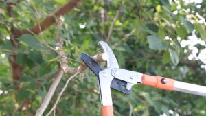 Expandable Telescopic Tree Trimmer Home Gardening Plant Lopper Cutter Tree Branch Pruning Cutter Shears