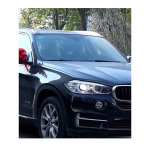 Nơ ruy băng tú cầu viền voan cao cấp trang trí giỏ quà xe hoa đám cưới lễ tết -LUMBL