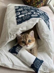 ที่นอนแมวแบบปิดครึ่งวงกลมพร้อมหมอน อบอุ่นสำหรับฤดูหนาว ที่นอนสัตว์เลี้ยงรูปทรงห้องนอนสุดน่ารัก ที่นอนแมว ที่นอนสุนัข