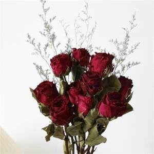 Vintage Rose Dried Flower Bouquet for Home Decor and Photography
