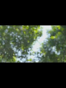 Xiaomi Mijia Lint Remover Electric Fuzz Trimmer Replacement Blade USB C MQXJQ01KL MQXJQDTO1KL