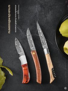 TINGLING | Portable Multi-Function Fruit Knife