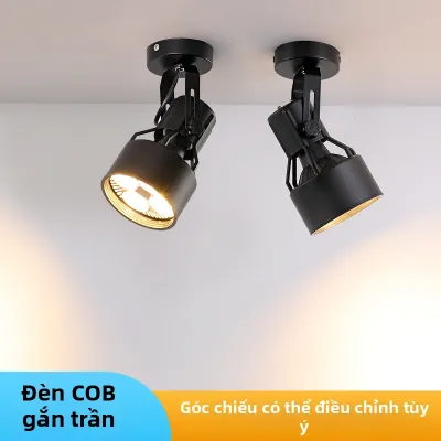 Đèn Chiếu Điểm Treo Tường