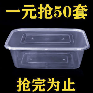 Transparent Plastic Disposable Lunch Box with Lid: Rectangular Takeaway Food Container & Fast Food Packaging Carton