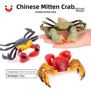 Educational Realistic Crab Model Toy