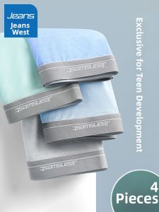 Jeanswest | Breathable & Skin-Friendly Briefs Male Underwear