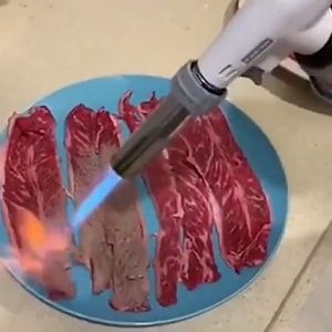 Professional Butane Torch for Cooking and Camping