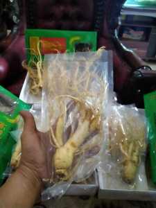 Gingseng merah Korea Selatan original
