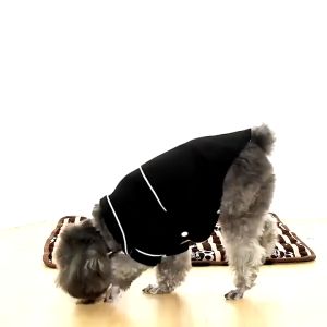 Cat Dog Pajamas Shirt Clothes Puppy Shirt Fashion Pet Cute Clothing Sleep Wear